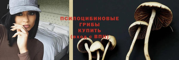 ешки Дмитров